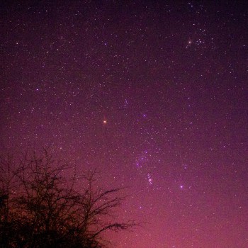 Foto van sterren in de Ardennen gemaakt door Marcus Bergsma.