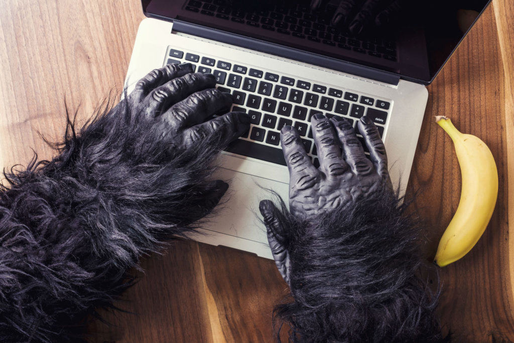 Rechtenvrije foto van gorilla achter zijn laptop via Gratisography