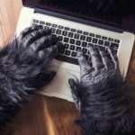 Rechtenvrije foto van gorilla achter zijn laptop via Gratisography