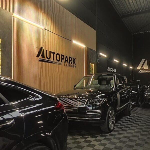 Screenshot Autopark Lijnden op Google Maps.